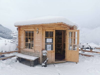 Zirben Shop Winter